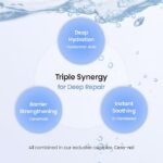 Biodance, Hydro Cera-nol Real Deep Mask (4 pcs) - Image 4