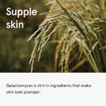 ONE THING, Galactomyces Ferment Filtrate Toner - Image 7